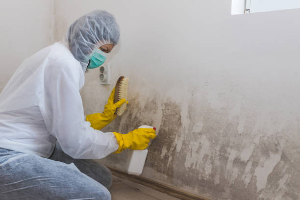 Best Biohazard Mold Removal  in Winfield, AL