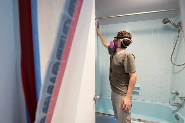 Winfield, AL Mold Removal Company