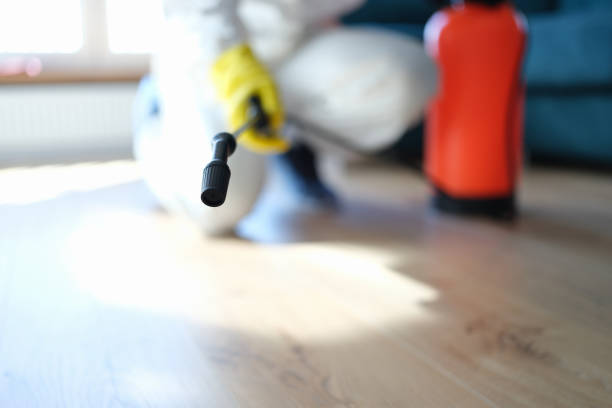 Best Commercial Mold Inspection  in Winfield, AL