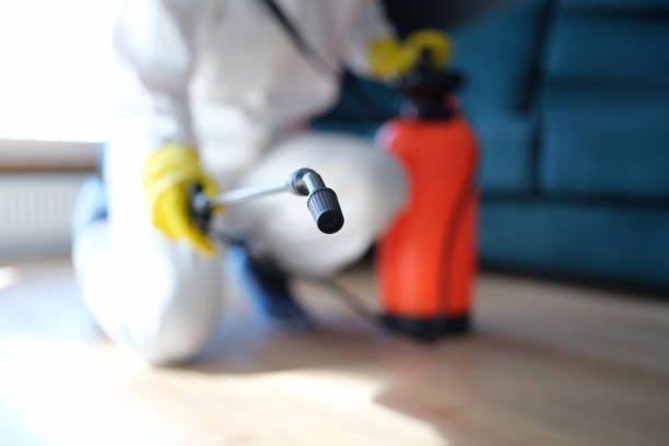 Best Attic Mold Removal  in Winfield, AL