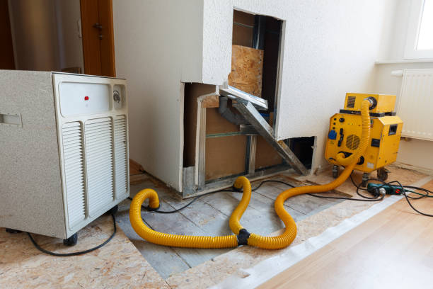 Asbestos and Lead Testing During Mold Inspection in Winfield, AL